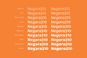cm42x-o Negara Serif